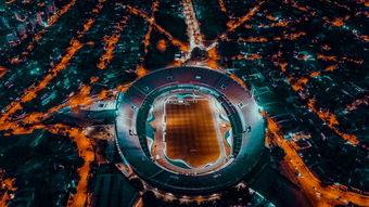 爱尔兰青训系统助力橄榄球未来腾飞，爱尔兰橄榄球联盟